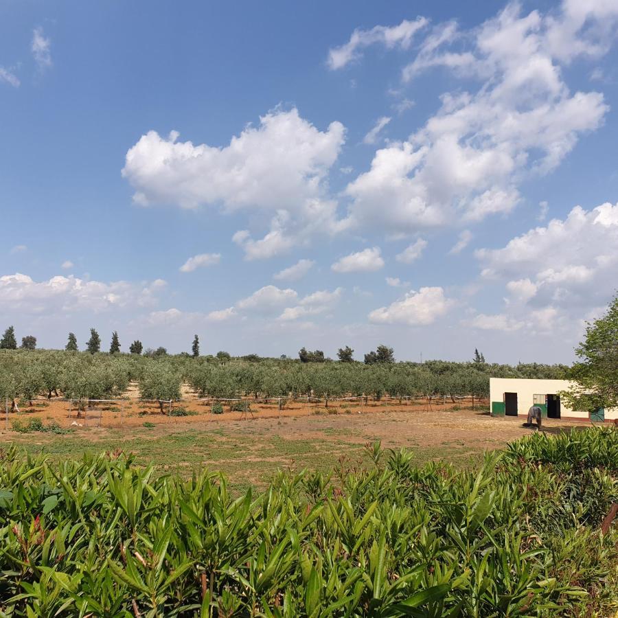 Finca-Vallestares Almonte Exteriér fotografie